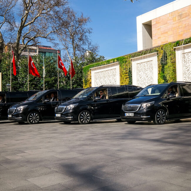 Luxury Limousines Lined Up Outdoors